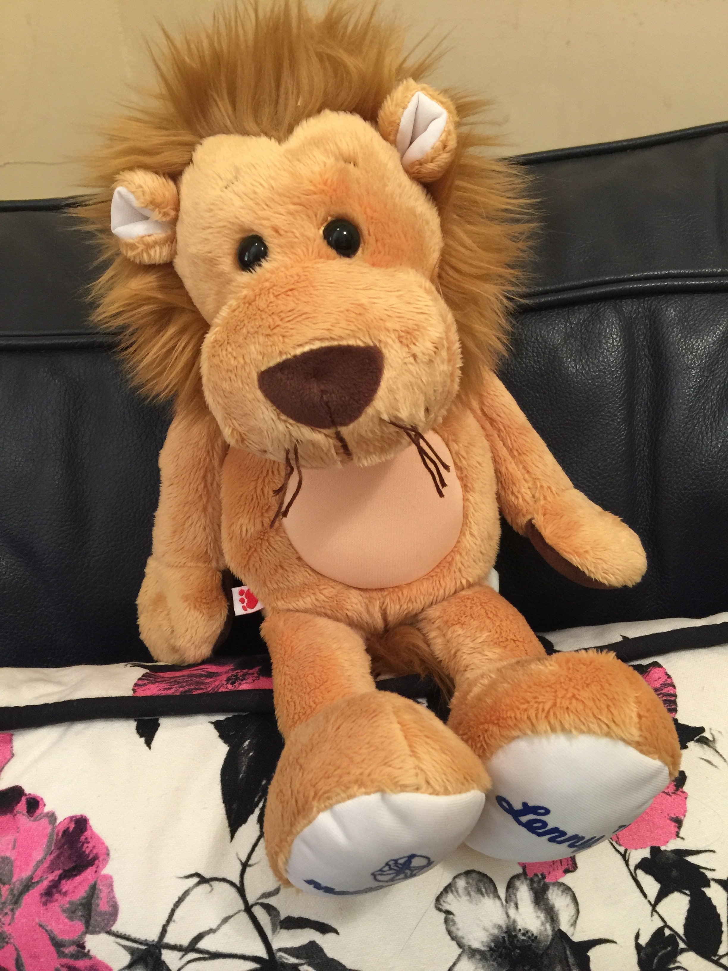 Lenny the Lion ... my new communication tool!