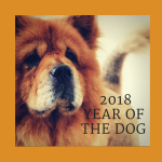 2018 image year of the dog